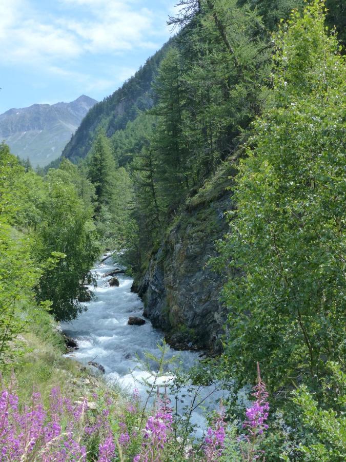 Tranquillite Et Authenticite Au Pied Des Ecrins Apartment Villar-d'Arene Luaran gambar